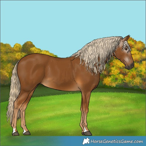 Horse Color:Gray Palomino 