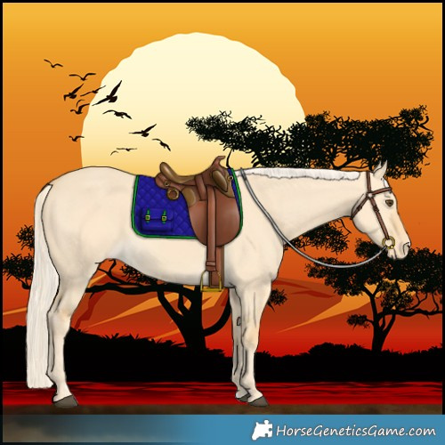Horse Color:Palomino Dun Varnish