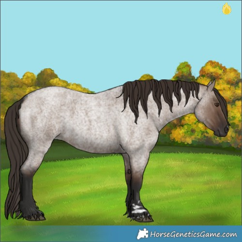 Horse Color:Liver Red Dun Roan Rabicano 