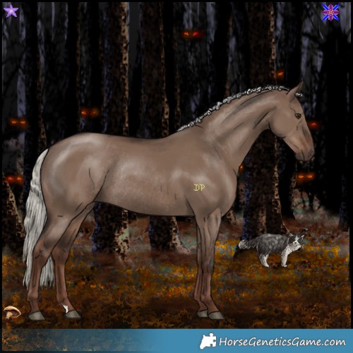 Horse Color:Liver Red Dun Mushroom Rabicano 