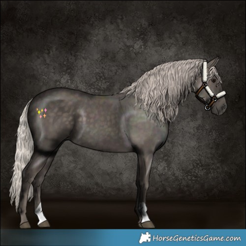 Horse Color:Silver Black 