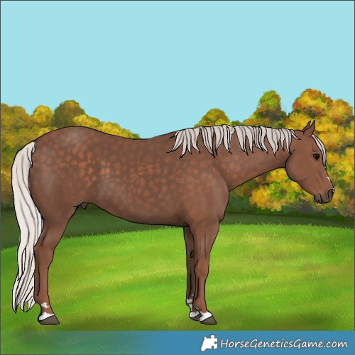 Horse Color:Silver Black 