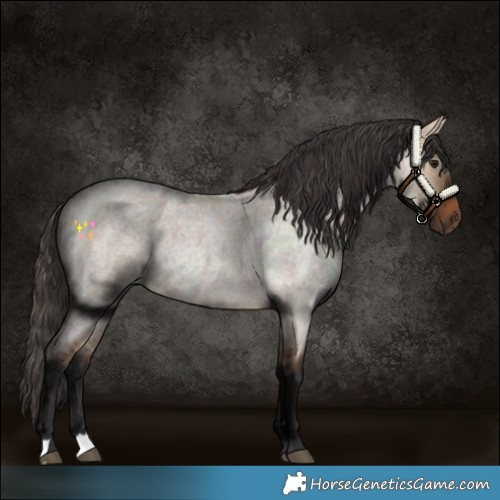 Horse Color:Bay Roan Dun 