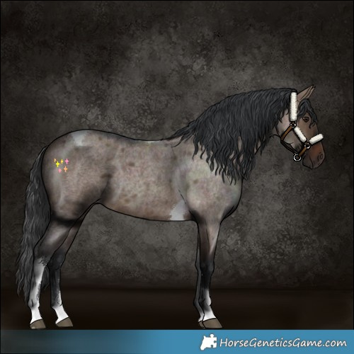 Horse Color:Brown Roan Dun Tobiano