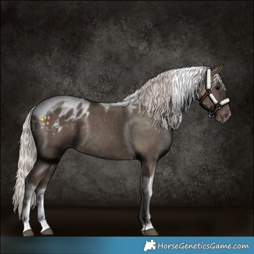 Horse Color:Silver Black Tobiano Blanket Rabicano 
