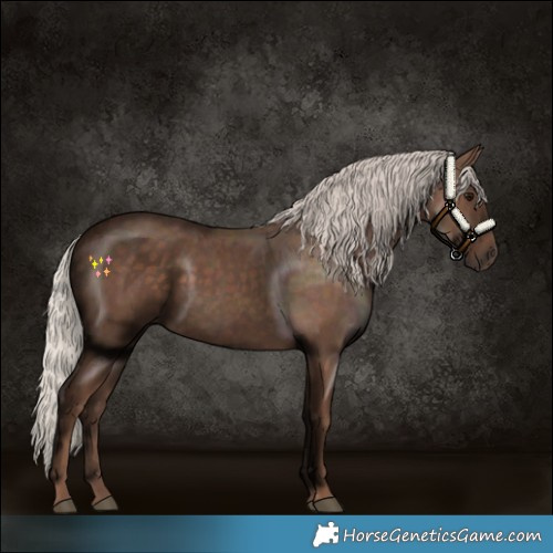 Horse Color:Silver Black 