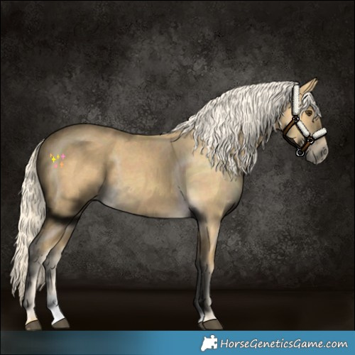 Horse Color:Palomino