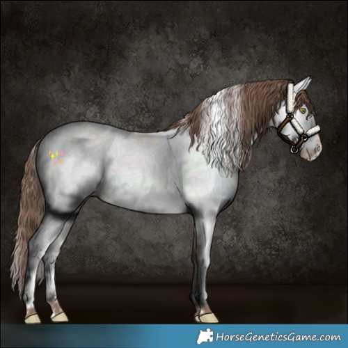 Horse Color:Amber Champagne Near Fewspot 