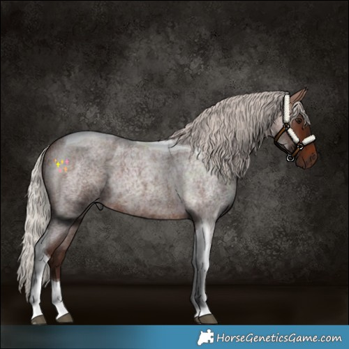 Horse Color:Silver Brown Roan Tobiano 