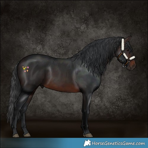 Horse Color:Brown Rabicano 