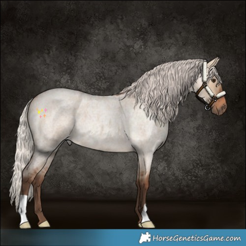 Horse Color:Silver Bay Roan Dun 