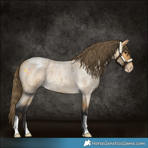 Horse Color:Buckskin Roan Varnish 