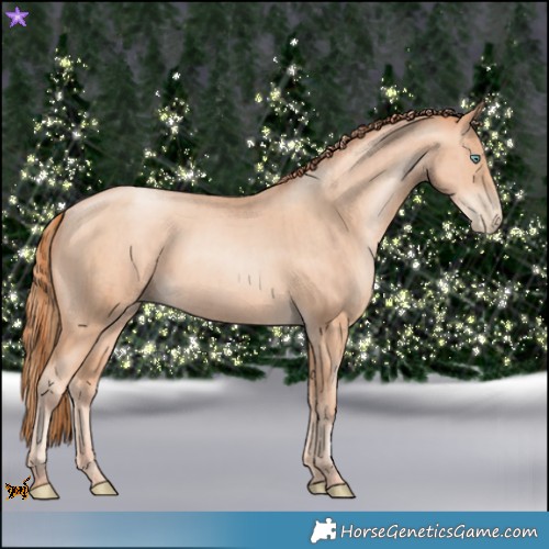 Horse Color:Gold Champagne Pearl Rabicano  and Classic Champagne Pearl Rabicano 