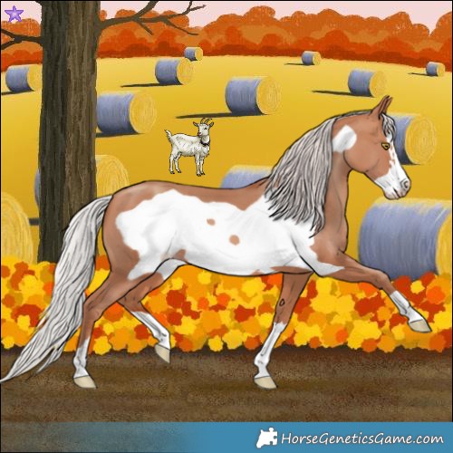 Horse Color:Silver Sable Champagne Frame 
