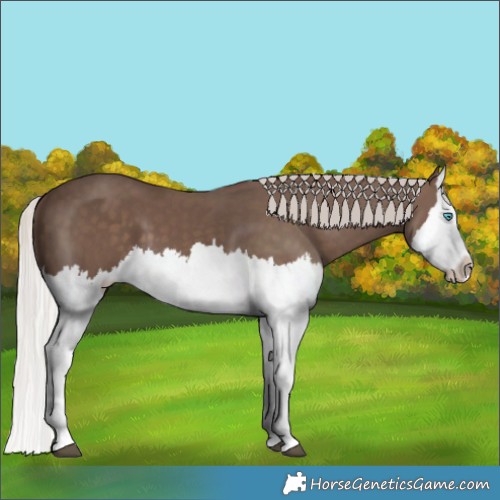 Horse Color:Silver Black Splash