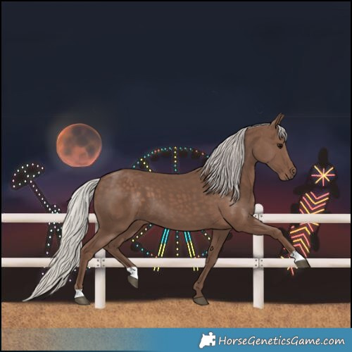 Horse Color:Silver Black