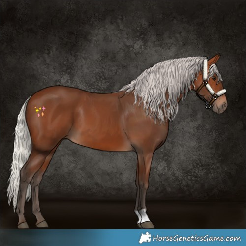 Horse Color:Silver Brown 