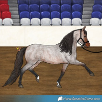 Horse Color:Bay Roan 