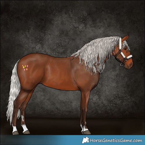 Horse Color:Silver Bay