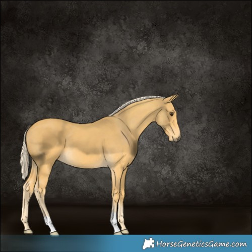 Horse Color:Palomino 