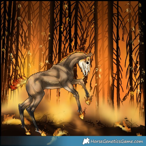 Horse Color:Buckskin 