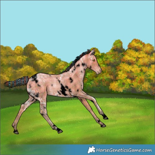Horse Color:Void Painted Plaid White Spotted Bay Ice Pearl