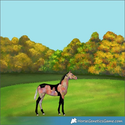 Horse Color:Void Nacre Silver Bay Merle Tobiano Varnish 