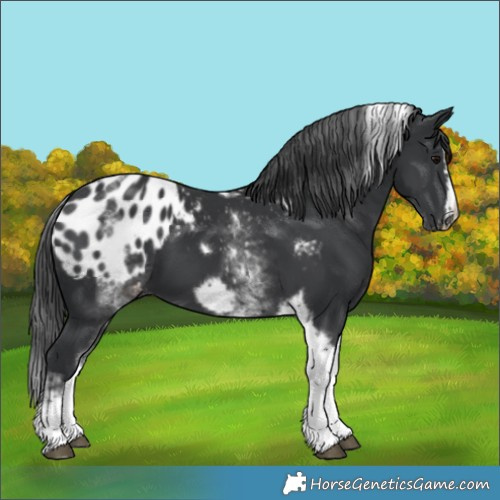 Horse Color:White Spotted Black Splash Tobiano Frame Blanket 