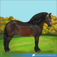 Horse Color:Gray Bay
