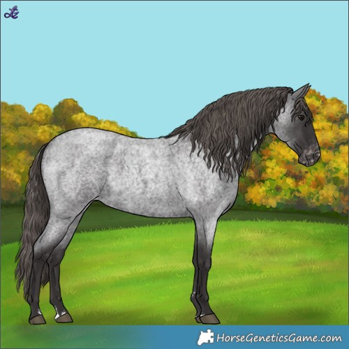 Horse Color:Smoky Blue Roan Varnish