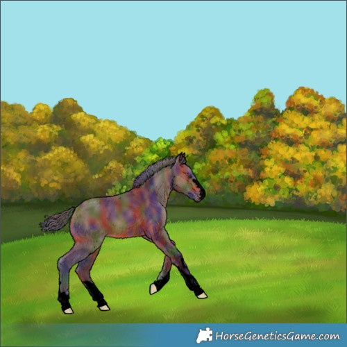 Horse Color:Void Nacre Bay 