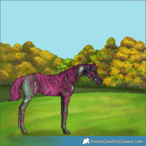 Horse Color:ERROR: UNKNOWN ANOMALY