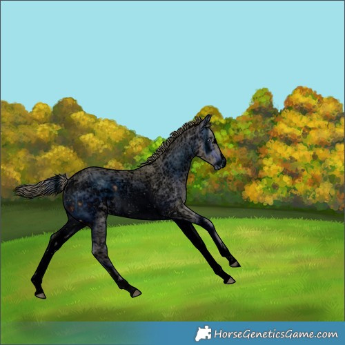 Horse Color:ERROR: UNKNOWN ANOMALY