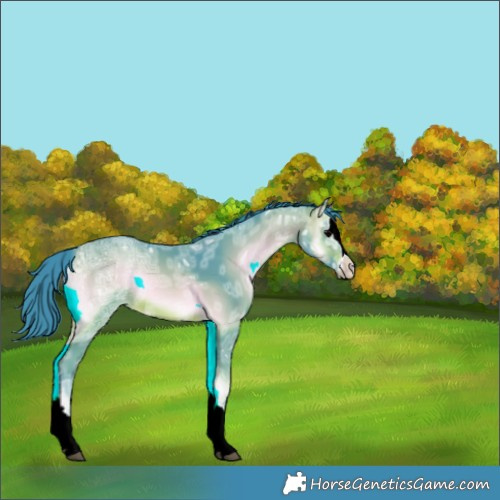Horse Color:Watercolor Brown Ice Onyx Splash 