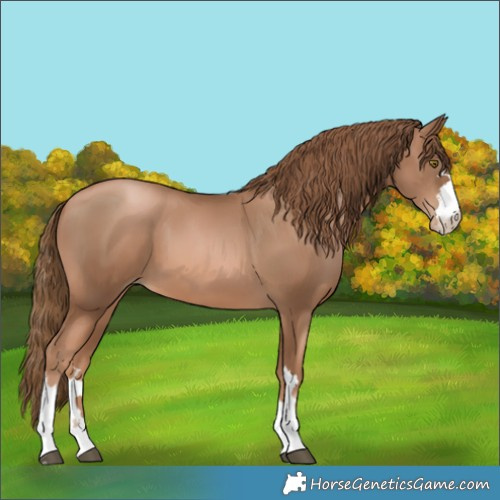 Horse Color:Liver Chestnut Pearl