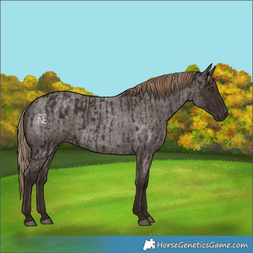 Horse Color:Liver Chestnut  and Liver Red Roan 