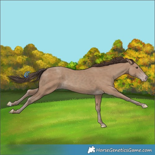 Horse Color:Classic Champagne 