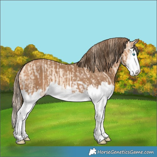 Horse Color:Perlino Splash  and Gray Perlino Splash 