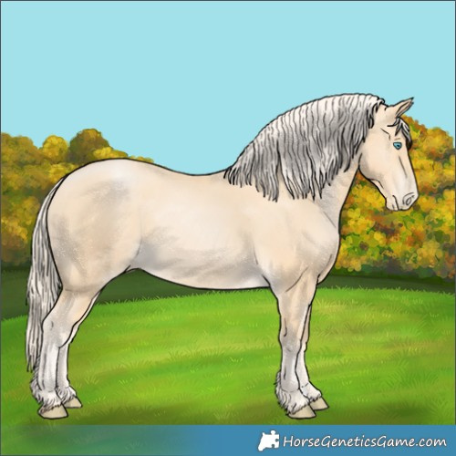 Horse Color:Palomino Pearl
