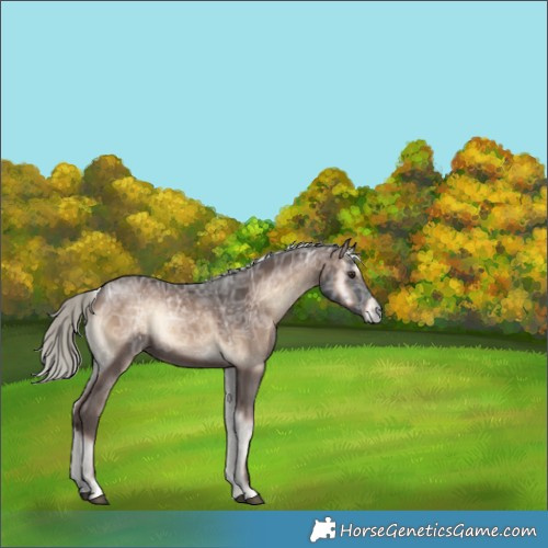 Horse Color:Liver Red Onyx Ice Mushroom Rabicano 