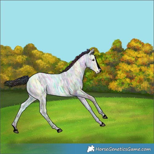 Horse Color:Nacre Grullo Chinchilla Ice Splash 