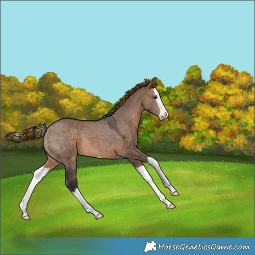 Horse Color:Painted Brown Dun Splash 