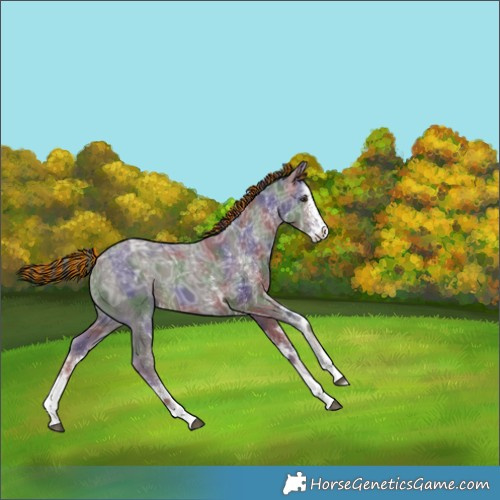 Horse Color:Painted Nacre White Spotted Liver Chestnut Ice