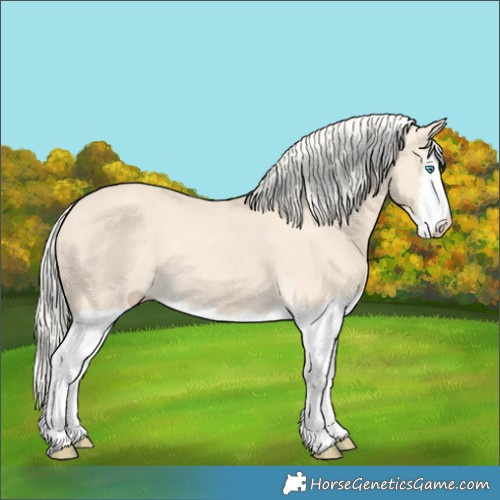 Horse Color:Cremello Splash  and Cremello Splash 