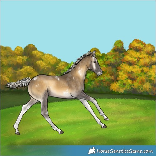 Horse Color:White Spotted Chocolate Palomino Onyx Mushroom