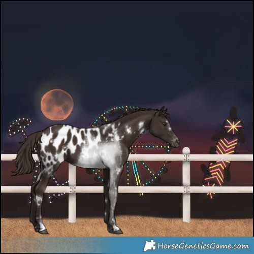 Horse Color:White Spotted Liver Chestnut Blanket 