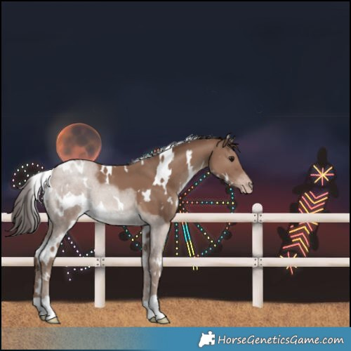 Horse Color:White Spotted Classic Champagne