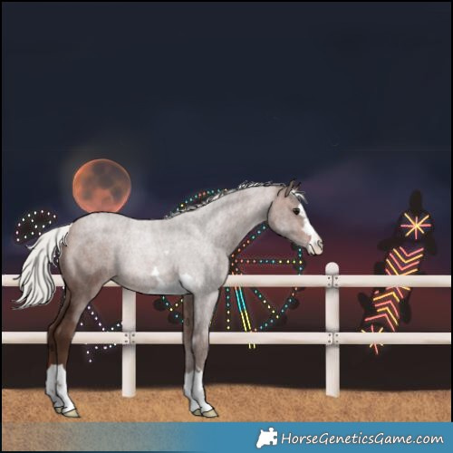 Horse Color:Silver Brown 