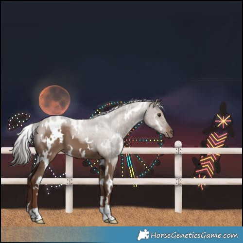 Horse Color:White Spotted Liver Red Dun 
