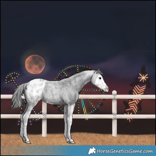 Horse Color:Blue Roan Splash Blanket 